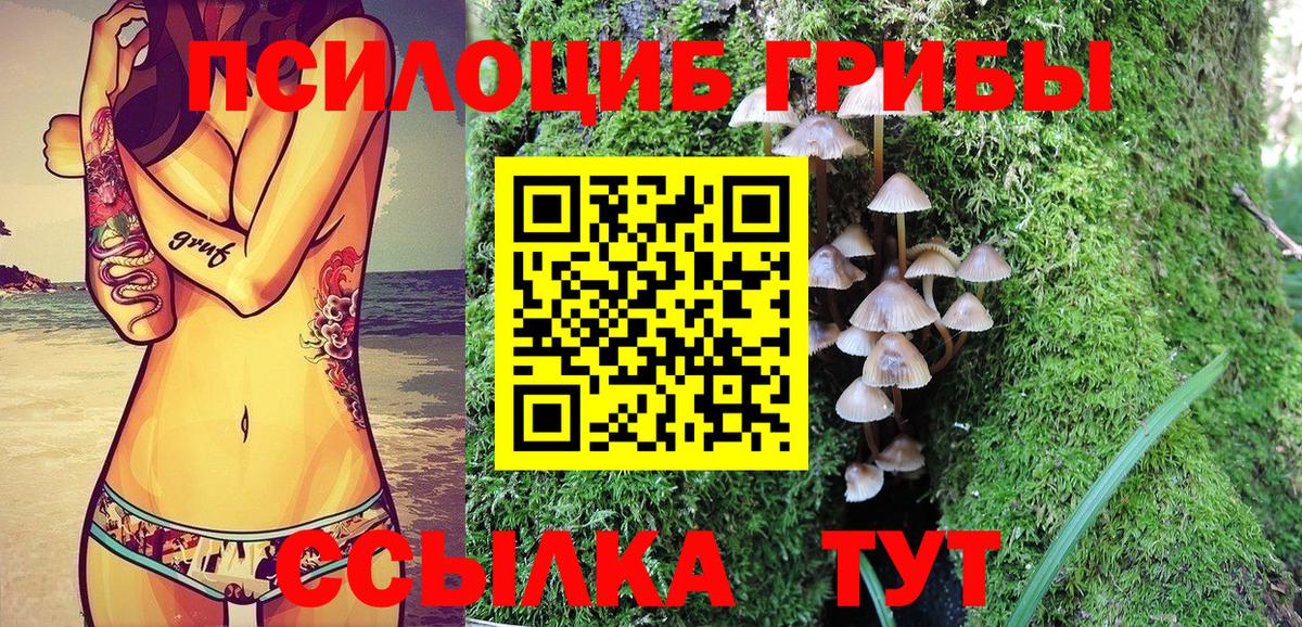 Невинномысск  Галлюциногенные грибы Psilocybe  Галлюциногенные грибы Psilocybine cubensis  Вход с VPN 